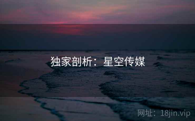 独家剖析：星空传媒