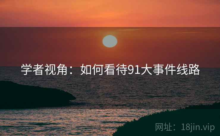 学者视角：如何看待91大事件线路