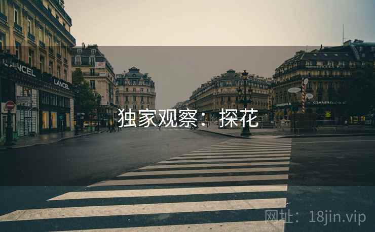 独家观察：探花