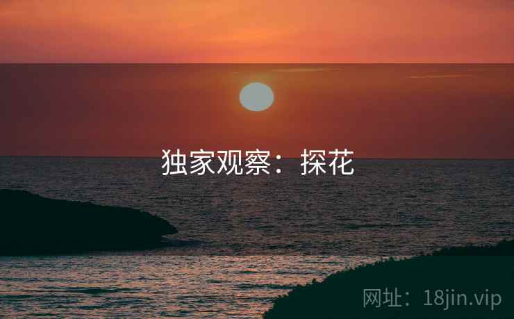 独家观察：探花
