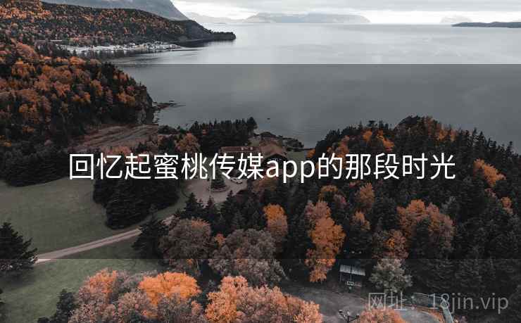 回忆起蜜桃传媒app的那段时光