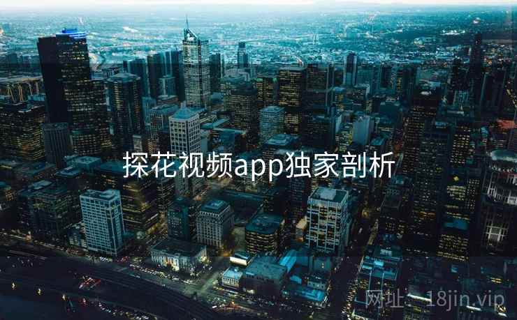 探花视频app独家剖析