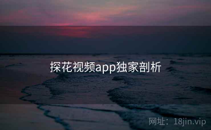 探花视频app独家剖析