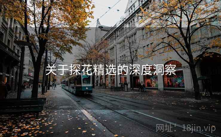 关于探花精选的深度洞察