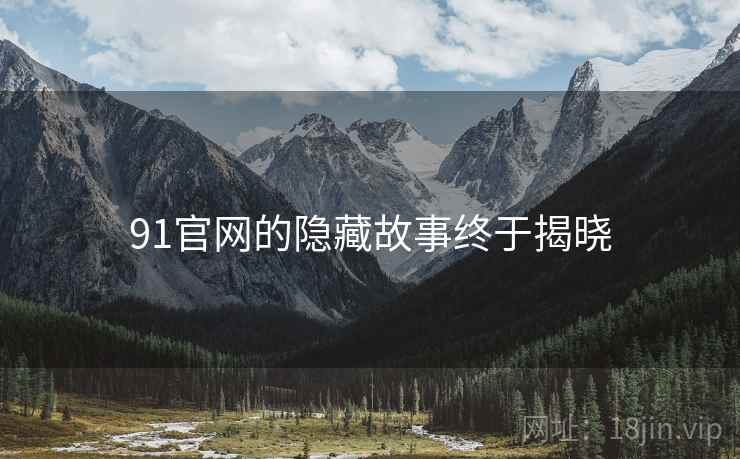 91官网的隐藏故事终于揭晓  第2张