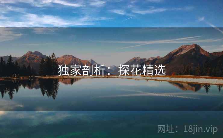 独家剖析：探花精选