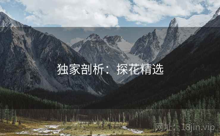 独家剖析：探花精选