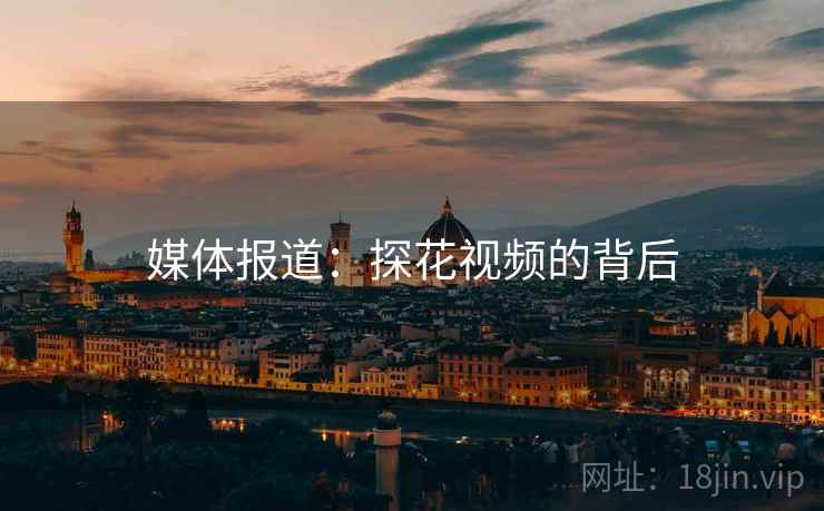 媒体报道：探花视频的背后