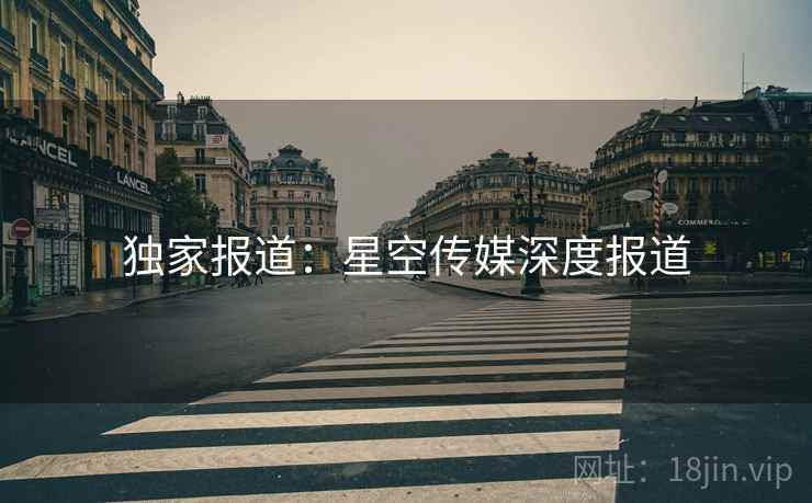 独家报道：星空传媒深度报道