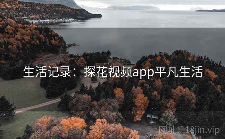 生活记录：探花视频app平凡生活