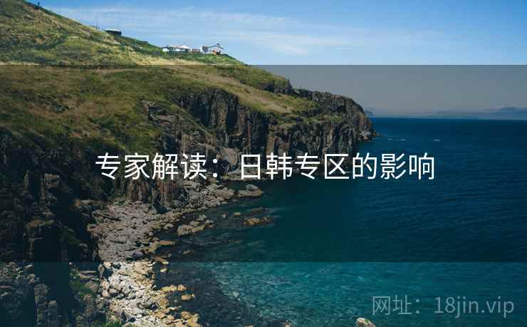 专家解读：日韩专区的影响