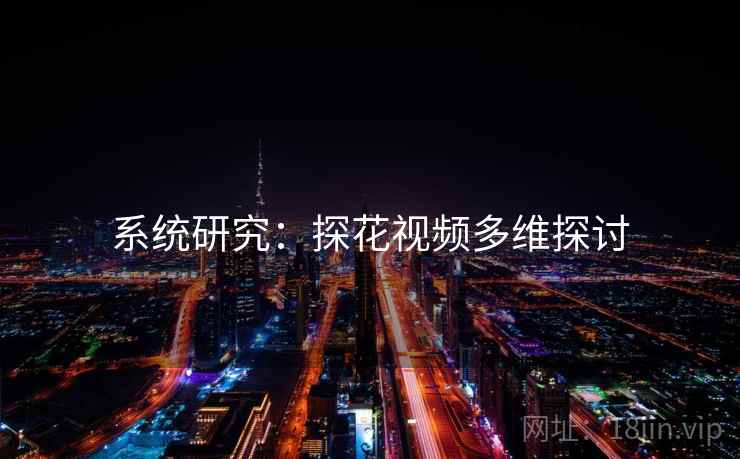 系统研究：探花视频多维探讨