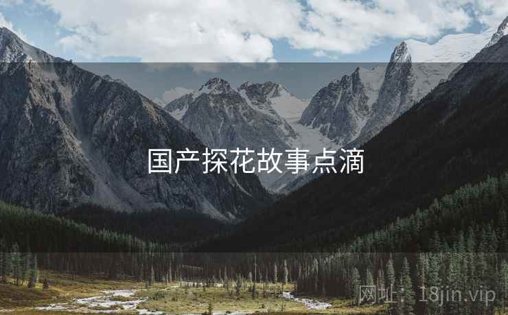 国产探花故事点滴