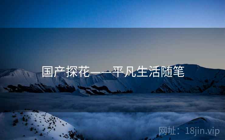 国产探花——平凡生活随笔