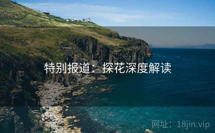 特别报道：探花深度解读
