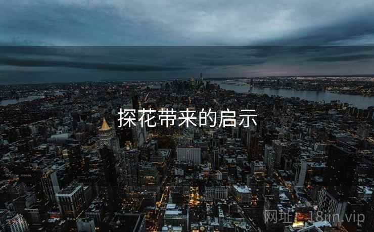 探花带来的启示
