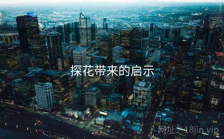 探花带来的启示