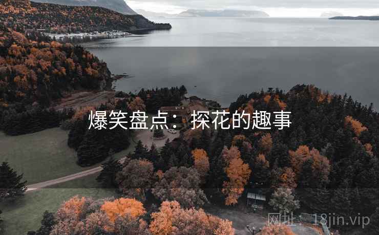 爆笑盘点：探花的趣事