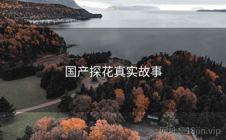 国产探花真实故事