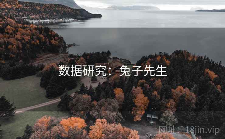 数据研究：兔子先生