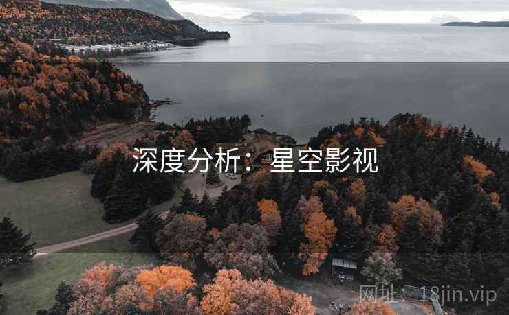 深度分析：星空影视