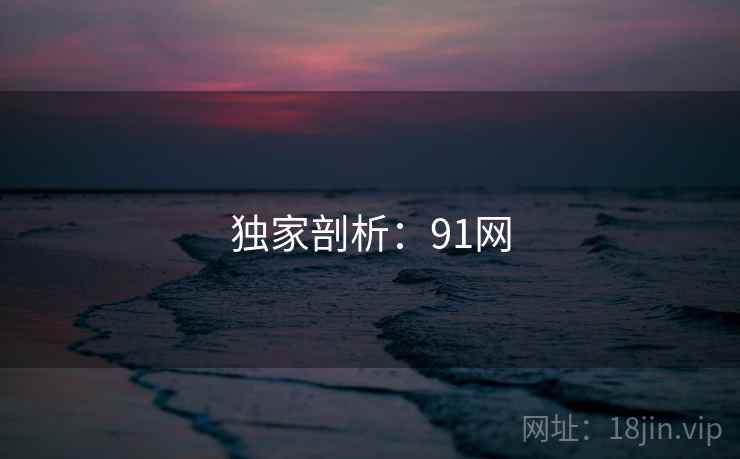 独家剖析:91网