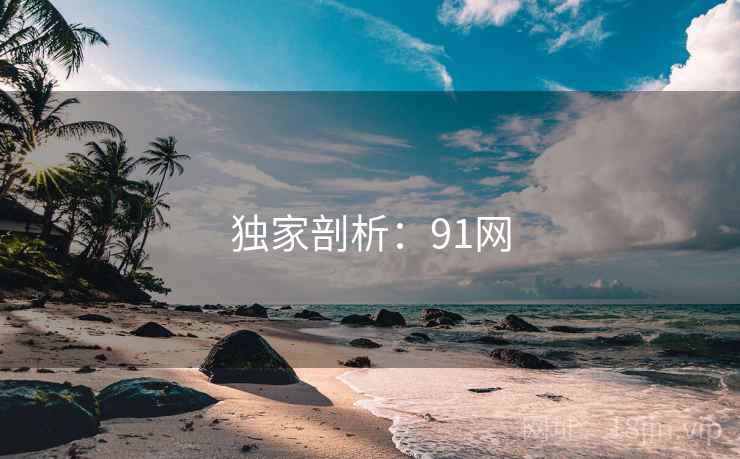 独家剖析:91网